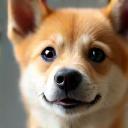 Photo de Tara, le chiot d’Ahmed K.